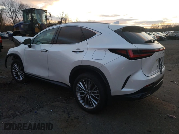 2024 Lexus NX 350 Luxury с VIN 2T2HGCEZ0RC052380, выставлен на аукционе Copart как лот 81920044 с пробегом 4 290 миль миль и Списание • Salvage title. История ставок и продаж доступна на DreamBid. Изображение 2.