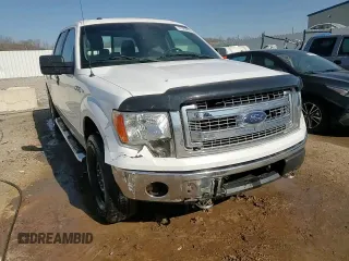 2013 Ford F-150 XL with VIN 1FTFW1EF0DFA71889, listed as a Copart auction lot 47989605 with 282,091 mi miles and Salvage Title. Bid and sale history available at carsss.com. Image 14.