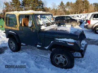 1995 Jeep Wrangler S with VIN 1J4FY19P4SP203275, listed as a Copart auction lot 42015245 with 207,414 mi miles and Clean Title. Bid and sale history available at carsss.com. Image 4.