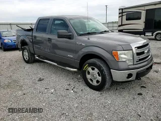 2013 Ford F-150 XL with VIN 1FTFW1ET4DKF81269, listed as a Copart auction lot 55813125 with 158,729 mi miles and Salvage title. Bid and sale history available at DreamBid. Image 13.