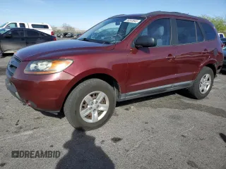 2009 Hyundai Santa Fe GLS z VIN 5NMSG13D19H273129, wystawiony jako Copart lot #58243845 z przebiegiem 141 479 mil mil oraz Szkoda całkowita • Salvage title. Historia ofert i sprzedaży dostępna na DreamBid. Obrazek 1.