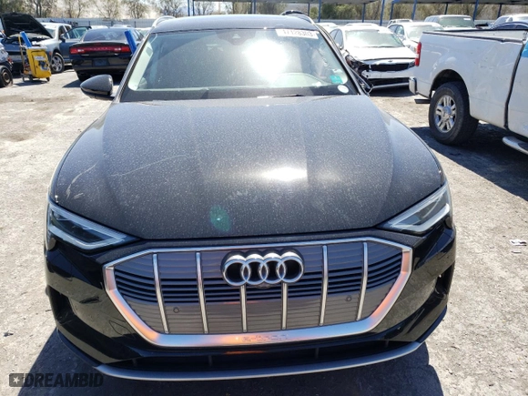 2019 Audi e-tron Premium Plus with VIN WA1LABGE0KB022279, listed as a Copart auction lot 47128303 with 0 mi miles. Bid and sale history available at carsss.com. Image 5.