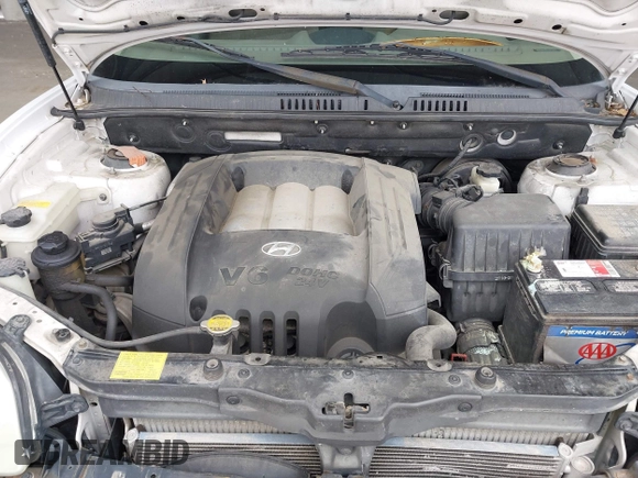 2004 Hyundai Santa Fe GLS with VIN KM8SC13D34U677767, listed as a IAAI auction lot 42054372 with 192,204 mi miles. Bid and sale history available at carsss.com. Image 10.