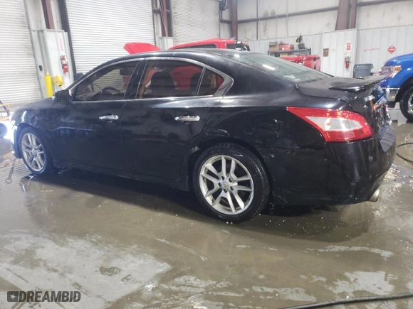 2010 Nissan Maxima 3.5 SV w/Sport Pkg with VIN 1N4AA5AP4AC875081, listed as a Copart auction lot 87683685 with 206,724 mi miles and Salvage Title. Bid and sale history available at carsss.com. Image 2.