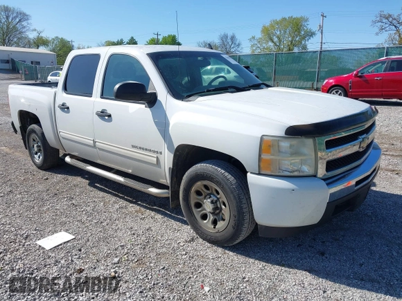 2009 Chevrolet Silverado 1500 LS with VIN 3GCEC13CX9G256034, listed as a IAAI auction lot 42049573 with 223,057 mi miles. Bid and sale history available at carsss.com. Image 1.