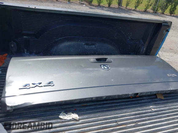 2005 Dodge 1500 SLT with VIN 1D7HU18D85J559064, listed as a IAAI auction lot 42021156 with 265,666 mi miles. Bid and sale history available at carsss.com. Image 12.