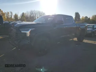 2022 Toyota Tundra Limited Hybrid with VIN 5TFJC5EC5NX001607, listed as a Copart auction lot 79141624 with 76,329 mi miles and Salvage title. Bid and sale history available at DreamBid. Image 1.