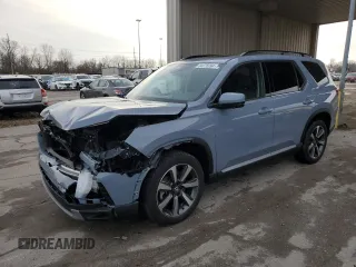 2024 Honda Pilot Elite with VIN 5FNYG1H89RB028392, listed as a Copart auction lot 84076994 with 18,685 mi miles and Salvage Title. Bid and sale history available at carsss.com. Image 1.
