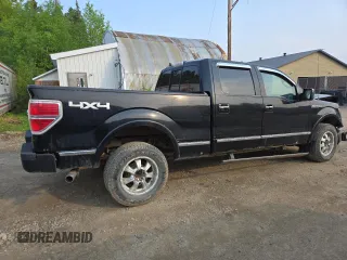 2009 Ford F-150 XL with VIN 1FTPW14V29FB29022, listed as a Copart auction lot 59518745 with 225,701 mi miles and Salvage title. Bid and sale history available at DreamBid. Image 3.