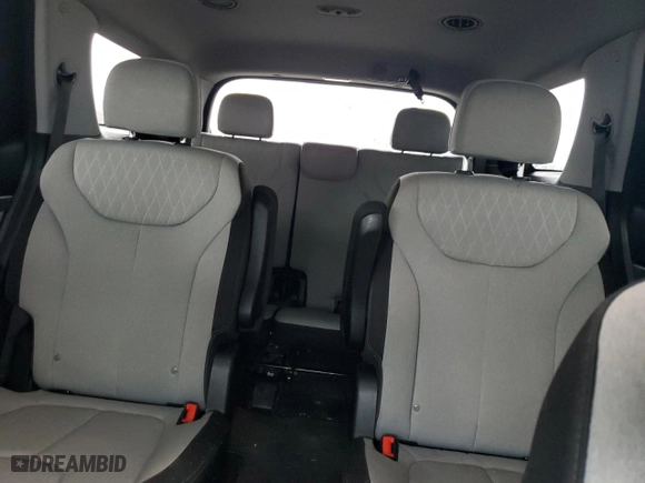2020 Hyundai Palisade SEL with VIN KM8R3DHE3LU105338, listed as a Copart auction lot 44519315 with 134,946 mi miles and Salvage Title. Bid and sale history available at carsss.com. Image 10.