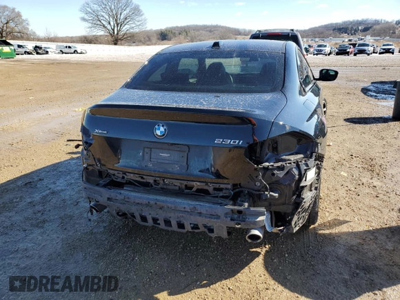 2023 BMW 2 Series 230i xDrive with VIN 3MW33CM07P8D30067, listed as a Copart auction lot 46489275 with 42,128 mi miles and Salvage Title. Bid and sale history available at carsss.com. Image 6.