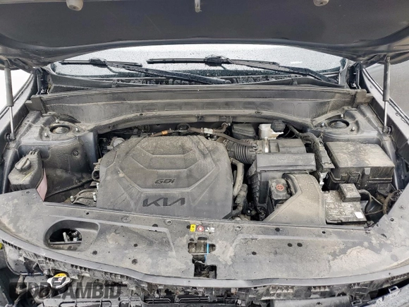 2022 Kia Telluride EX with VIN 5XYP3DHC4NG276226, listed as a Copart auction lot 60528015 with 55,306 mi miles and Salvage title. Bid and sale history available at DreamBid. Image 12.