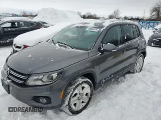 2013 Volkswagen Tiguan S with VIN WVGJV3AX2DW617899, listed as a Copart auction lot 45664075 with 172,380 mi miles and Clean title. Bid and sale history available at DreamBid. Image 1.