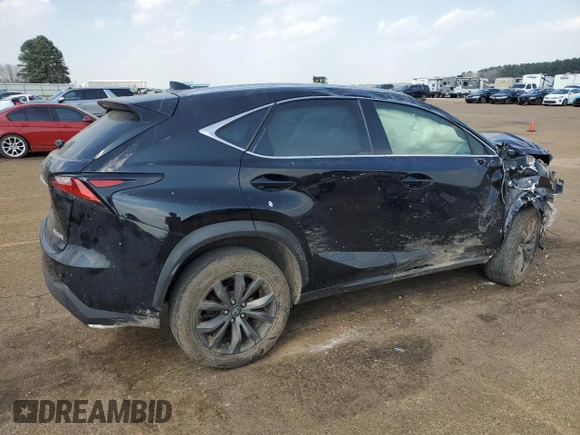 2017 Lexus NX with VIN JTJYARBZ6H2066520, listed as a Copart auction lot 49234295 with 0 mi miles and Salvage Title. Bid and sale history available at carsss.com. Image 3.