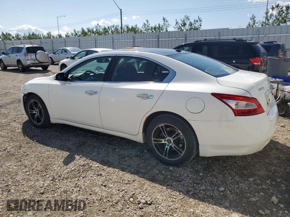 2011 Nissan Maxima SV z VIN 1N4AA5AP3BC822292, wystawiony jako Copart lot #61411155 z przebiegiem 224 273 mil mil oraz Szkoda całkowita • Salvage title. Historia ofert i sprzedaży dostępna na DreamBid. Obrazek 2.