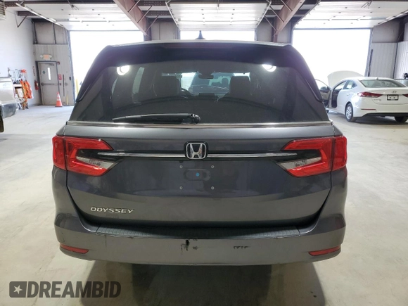 2024 Honda Odyssey EX-L with VIN 5FNRL6H69RB069598, listed as a Copart auction lot 53810215 with 5,789 mi miles and Salvage Title. Bid and sale history available at DreamBid. Image 6.
