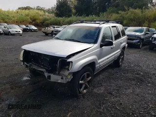 2002 Jeep Grand Cherokee Limited with VIN 1J8GW58J52C325048, listed as a Copart auction lot 56254705 with 132,000 mi miles and Salvage title. Bid and sale history available at DreamBid. Image 1.