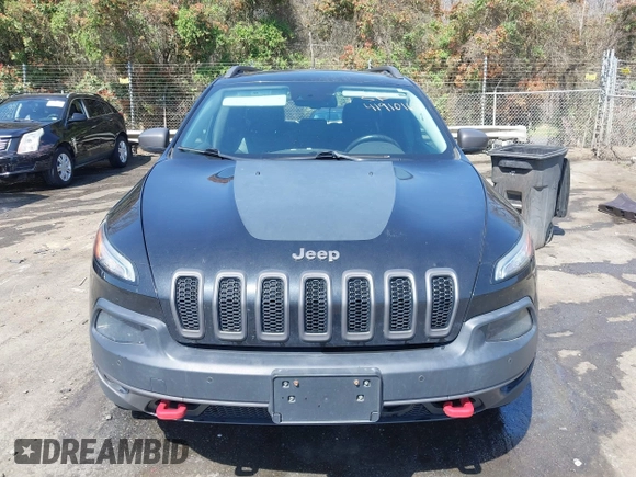 2014 Jeep Cherokee Trailhawk with VIN 1C4PJMBB6EW162303, listed as a IAAI auction lot 41910167 with 133,669 mi miles. Bid and sale history available at carsss.com. Image 13.