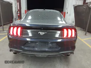2021 Ford Mustang EcoBoost with VIN 1FA6P8TH0M5110017, listed as a IAAI auction lot 41949095 with 50,321 mi miles and . Bid and sale history available at DreamBid. Image 16.