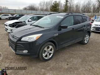 2014 Ford Escape SE with VIN 1FMCU9G99EUC91684, listed as a Copart auction lot 50951555 with 143,887 mi miles and Clean Title. Bid and sale history available at carsss.com. Image 1.