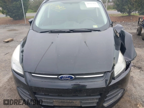 2016 Ford Escape SE with VIN 1FMCU9GX6GUA81609, listed as a IAAI auction lot 41947984 with 159,254 mi miles. Bid and sale history available at carsss.com. Image 12.