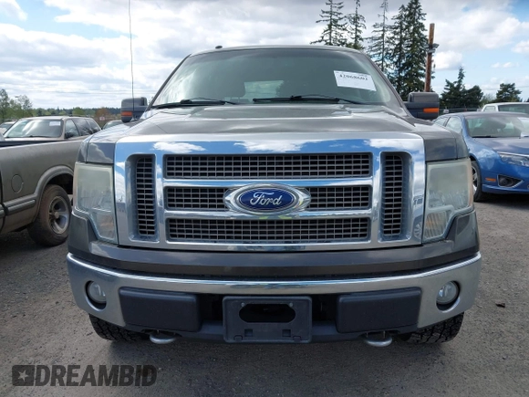2009 Ford F-150 XL with VIN 1FTPW14V59FA09506, listed as a IAAI auction lot 42068602 with 222,954 mi miles. Bid and sale history available at carsss.com. Image 12.