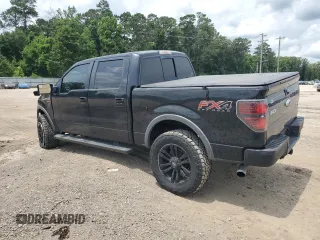 2013 Ford F-150 XL with VIN 1FTFW1EF5DKF52549, listed as a Copart auction lot 62791925 with Not provided miles and Salvage title. Bid and sale history available at DreamBid. Image 2.