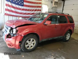 2011 Ford Escape Limited with VIN 1FMCU9E7XBKC53843, listed as a Copart auction lot 51380575 with 214,490 mi miles and Salvage Title. Bid and sale history available at DreamBid. Image 1.