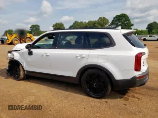 2022 Kia Telluride EX z VIN 5XYP3DHC1NG318982, wystawiony jako Copart lot #59152325 z przebiegiem 62 688 mil mil oraz Szkoda całkowita • Salvage title. Historia ofert i sprzedaży dostępna na DreamBid. Obrazek 2.
