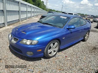2004 Pontiac GTO with VIN 6G2VX12G24L297513, listed as a Copart auction lot 51205665 with 0 mi miles and Salvage Title. Bid and sale history available at carsss.com. Image 1.