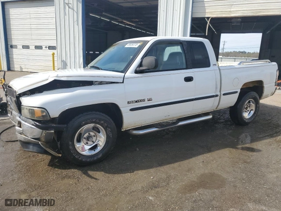 1999 Dodge Ram 1500 with VIN 1B7HC13Z5XJ554620, listed as a Copart auction lot 49659315 with 183,061 mi miles and Salvage Title. Bid and sale history available at carsss.com. Image 1.