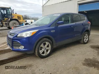 2013 Ford Escape SE with VIN 1FMCU9GX9DUA32769, listed as a Copart auction lot 52163595 with 125,348 mi miles and Clean Title. Bid and sale history available at carsss.com. Image 1.