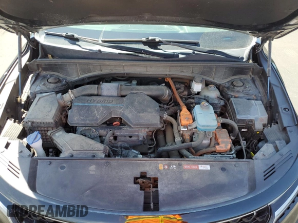 2021 Kia Sorento EX with VIN KNDRH4LG5M5053866, listed as a Copart auction lot 53302885 with 81,004 mi miles and Salvage title. Bid and sale history available at DreamBid. Image 14.