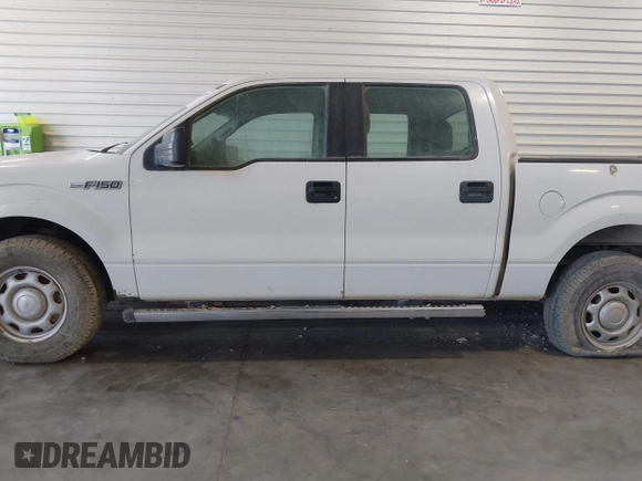 2010 Ford F-150 XL with VIN 1FTEW1E8XAFC98418, listed as a IAAI auction lot 42614159 with Not provided miles and . Bid and sale history available at DreamBid. Image 14.
