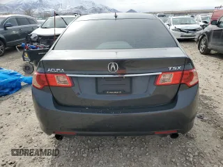 2011 Acura TSX with VIN JH4CU2F65BC004862, listed as a Copart auction lot 49914205 with 194,730 mi miles and Salvage Title. Bid and sale history available at carsss.com. Image 6.