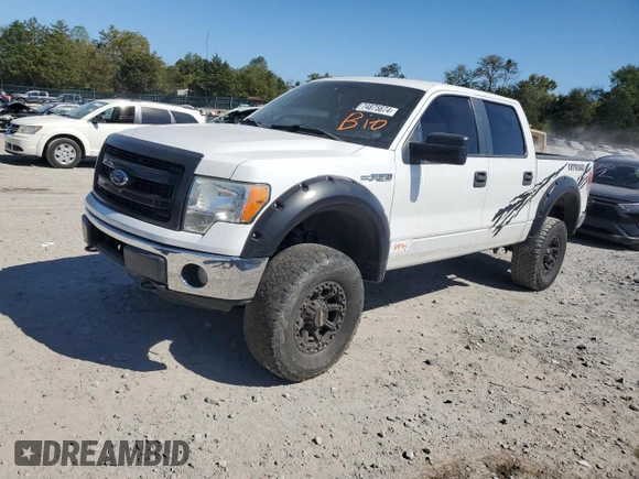 2012 Ford F-150 XL with VIN 1FTFW1EF5CFB56290, listed as a Copart auction lot 74875874 with 233,978 mi miles and Salvage title. Bid and sale history available at DreamBid. Image 1.