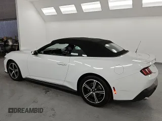 2024 Ford Mustang EcoBoost with VIN 1FAGP8UH4R5132564, listed as a Copart auction lot 53862275 with 22,324 mi miles and Clean Title. Bid and sale history available at carsss.com. Image 2.
