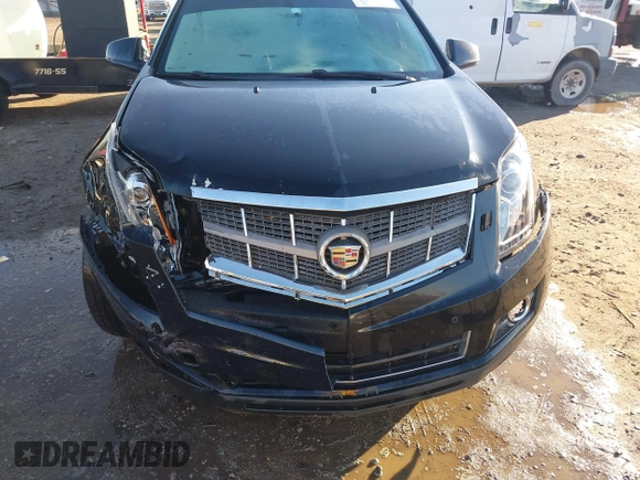 2010 Cadillac SRX Premium Collection with VIN 3GYFNCEY9AS521993, listed as a IAAI auction lot 41154875 with 219,713 mi miles. Bid and sale history available at carsss.com. Image 6.