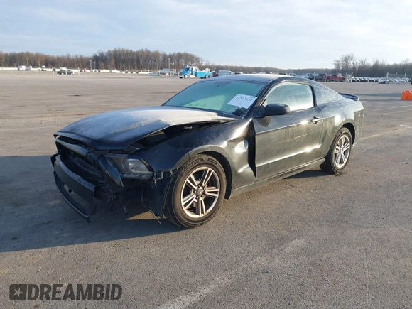 2014 Ford Mustang V6 z VIN 1ZVBP8AM4E5262440, wystawiony jako IAAI lot #41523652 z przebiegiem 140 573 mil mil oraz . Historia ofert i sprzedaży dostępna na DreamBid. Obrazek 2.