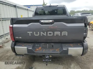 2023 Toyota Tundra Capstone Hybrid with VIN 5TFVC5DBXPX028881, listed as a Copart auction lot 80079964 with 12,565 mi miles and Salvage title. Bid and sale history available at DreamBid. Image 6.
