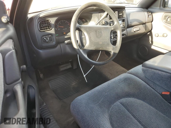1999 Dodge Dakota SLT with VIN 1B7GL22X8XS114645, listed as a Copart auction lot 48824515 with 110,042 mi miles and Salvage Title. Bid and sale history available at carsss.com. Image 8.