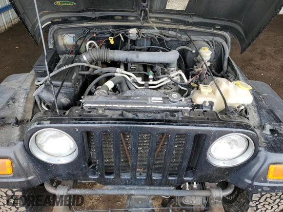 2006 Jeep Wrangler SE with VIN 1J4FA29S56P749135, listed as a Copart auction lot 49893595 with 280,873 mi miles and Clean Title. Bid and sale history available at carsss.com. Image 12.