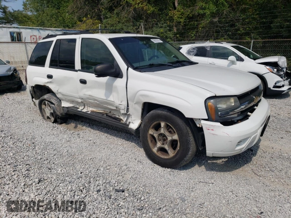 2006 Chevrolet TrailBlazer LS with VIN 1GNDT13S362357608, listed as a Copart auction lot 68828434 with 173,608 mi miles and Salvage Title. Bid and sale history available at DreamBid. Image 4.