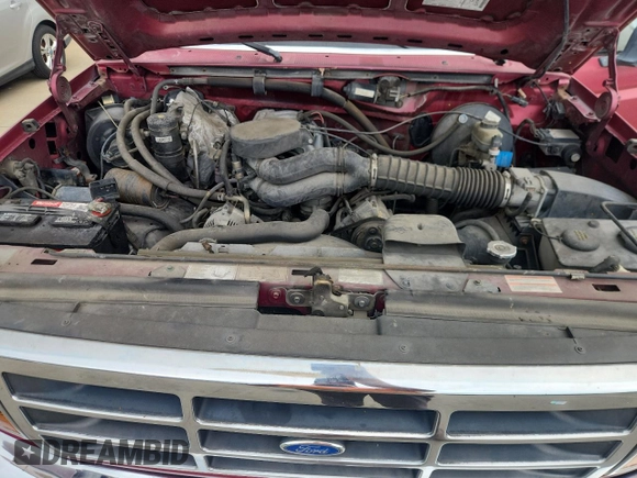 1995 Ford F-150 с VIN 1FTEX15NXSKC03786, выставлен на аукционе Copart как лот 61467235 с пробегом 217 040 миль миль и Чистый • Clean title. История ставок и продаж доступна на DreamBid. Изображение 11.