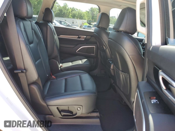 2022 Kia Telluride S with VIN 5XYP6DHC3NG241541, listed as a Copart auction lot 52464045 with 95,210 mi miles and Salvage title. Bid and sale history available at DreamBid. Image 12.