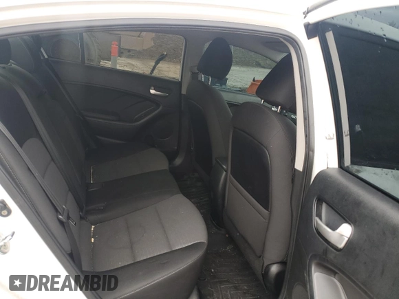 2018 Kia Forte LX with VIN 3KPFL4A76JE260688, listed as a Copart auction lot 44313295 with 123,884 mi miles and Salvage Title. Bid and sale history available at carsss.com. Image 10.