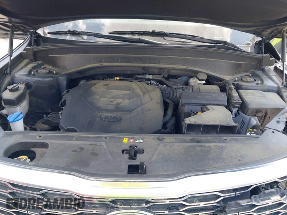 2020 Kia Telluride S with VIN 5XYP64HC4LG048473, listed as a IAAI auction lot 41901438 with 125,089 mi miles and . Bid and sale history available at DreamBid. Image 10.