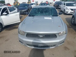 2010 Ford Mustang V6 with VIN 1ZVBP8AN5A5144531, listed as a IAAI auction lot 39339392 with 212,829 mi miles and . Bid and sale history available at DreamBid. Image 6.