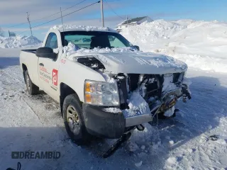 2012 Chevrolet Silverado 1500 Work Truck with VIN 1GCNKPEAXCZ217470, listed as a Copart auction lot 45476725 with Not Provided miles and Salvage Title. Bid and sale history available at DreamBid. Image 4.