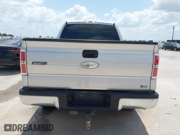 2010 Ford F-150 XL z VIN 1FTFX1CV2AFA15133, wystawiony jako IAAI lot #42555374 z przebiegiem 217 748 mil mil oraz . Historia ofert i sprzedaży dostępna na DreamBid. Obrazek 16.